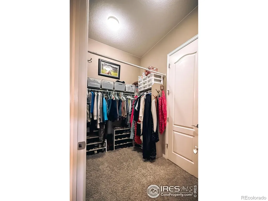 2083 Vineyard Drive Windsor CO 80550