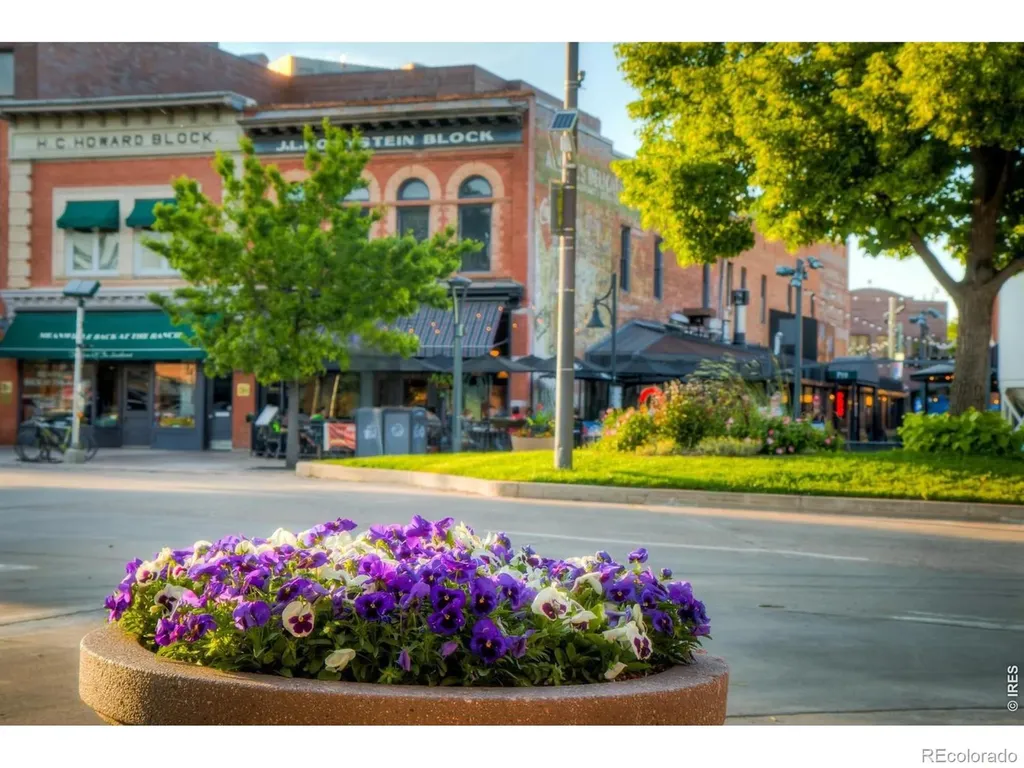 220 E Oak Street Fort Collins CO 80524