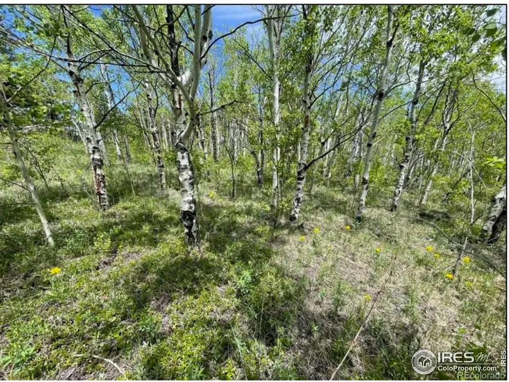 11320 Gold Hill Road Boulder CO 80302