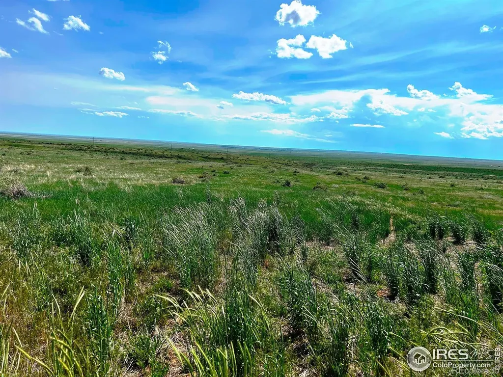 0 County Road 80 Briggsdale CO 80611