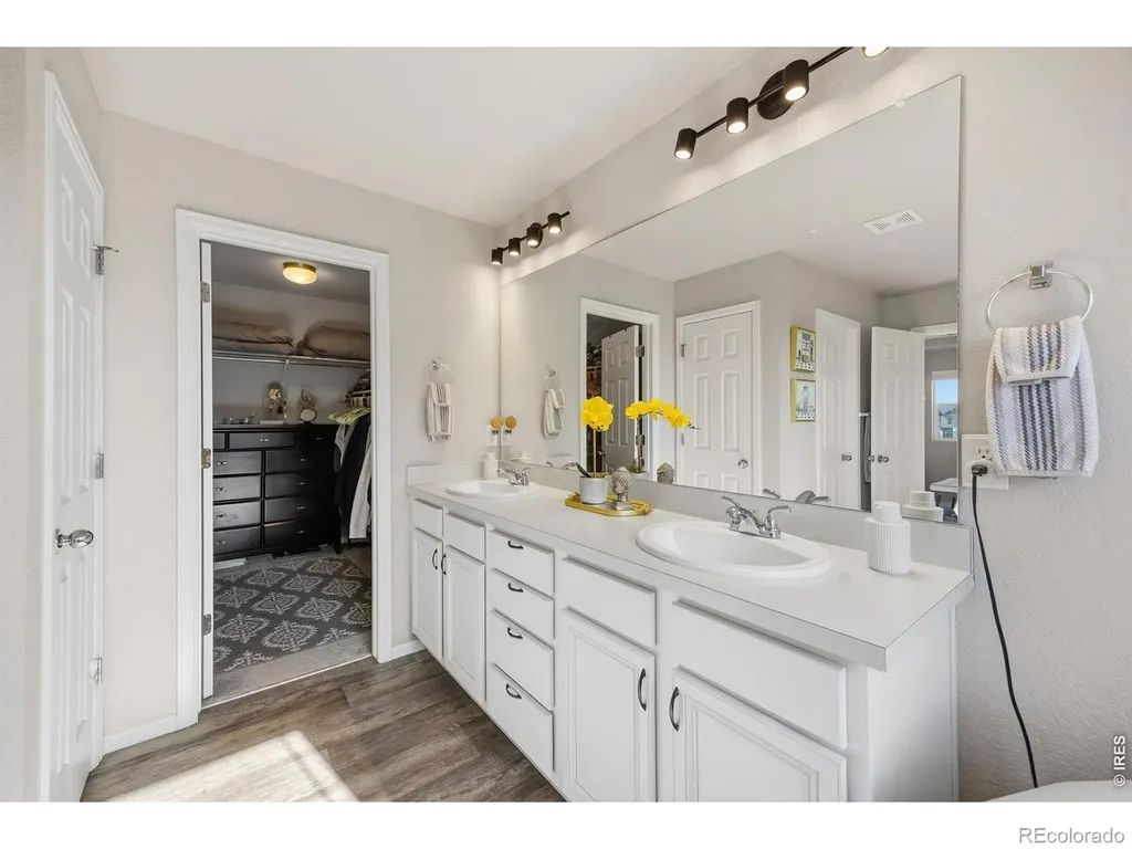 5247 Alberta Falls Street Timnath CO 80547