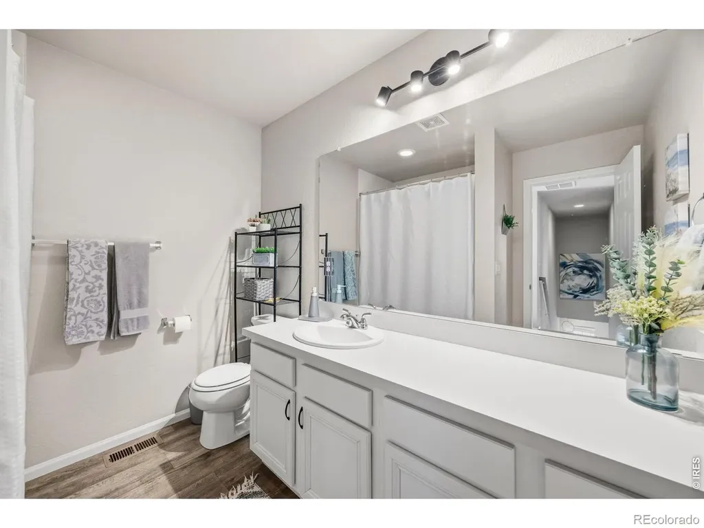 5247 Alberta Falls Street Timnath CO 80547