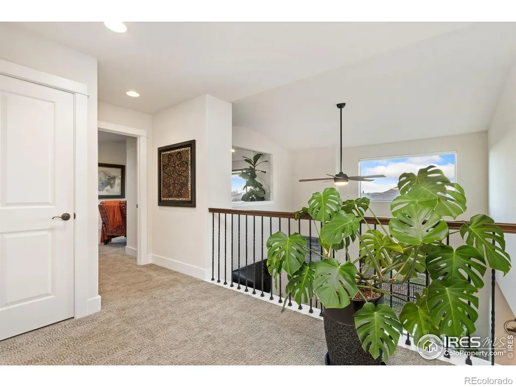 6682 Crooked Stick Drive Windsor CO 80550