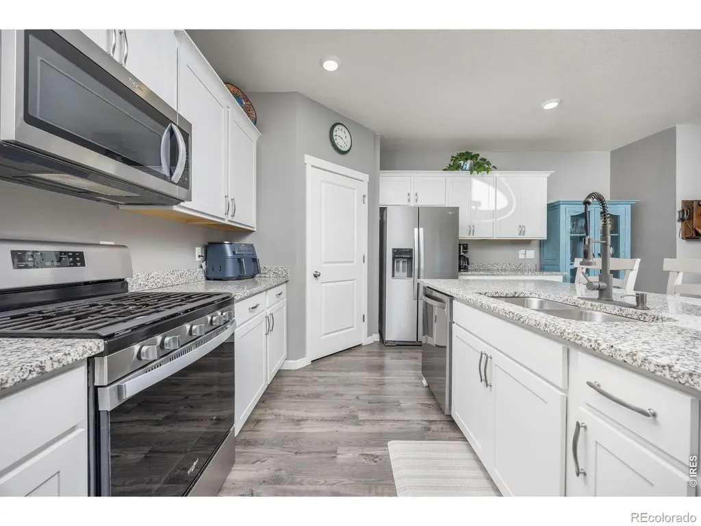 3725 Catmint Street Wellington CO 80549