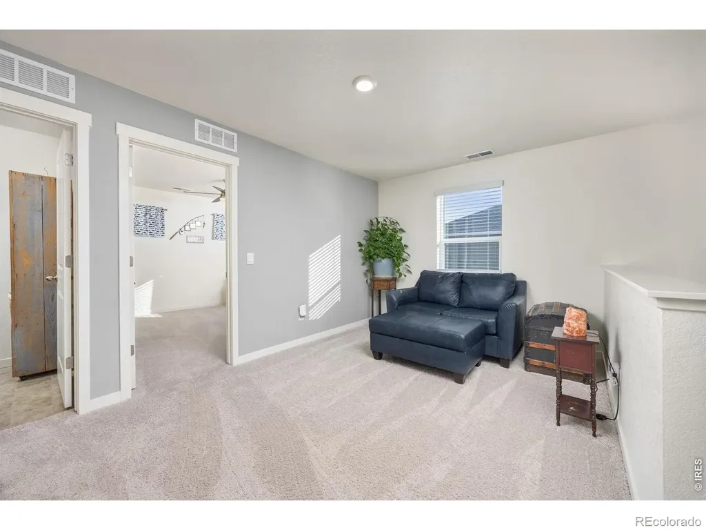 3725 Catmint Street Wellington CO 80549