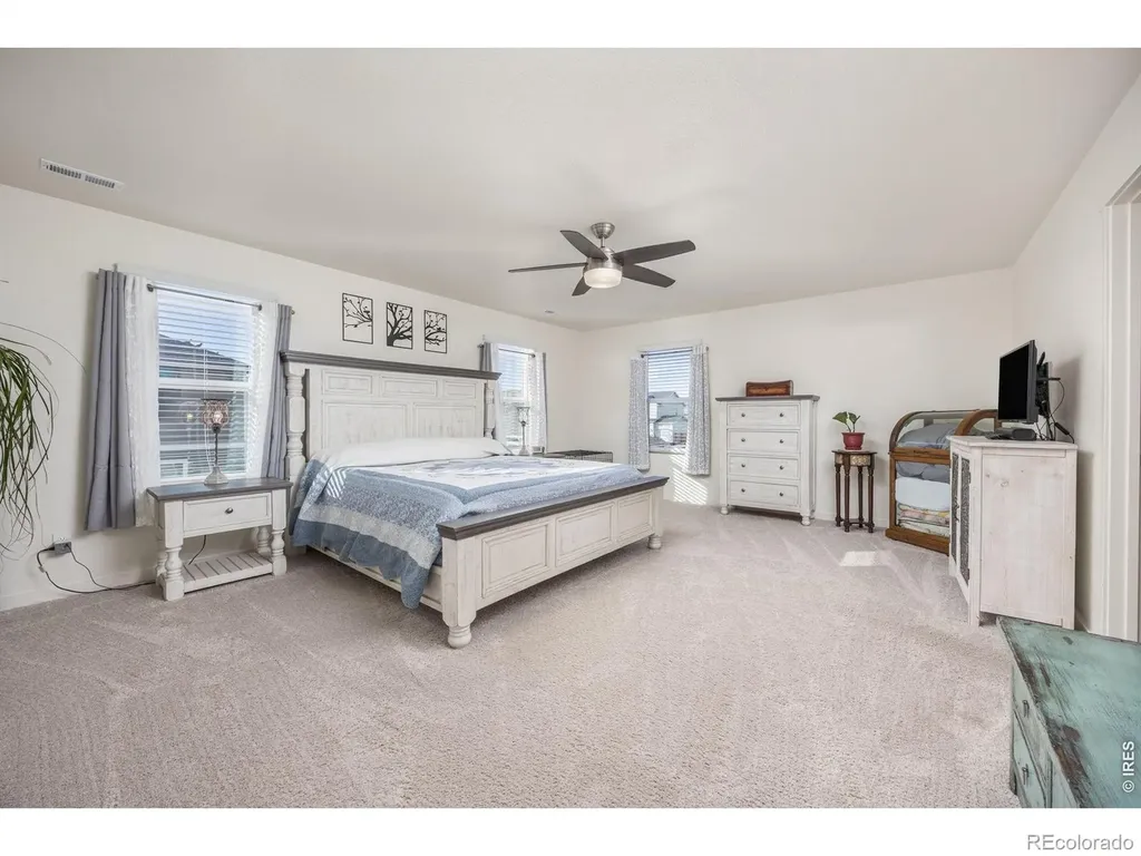 3725 Catmint Street Wellington CO 80549