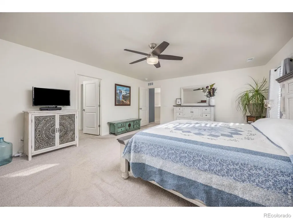 3725 Catmint Street Wellington CO 80549