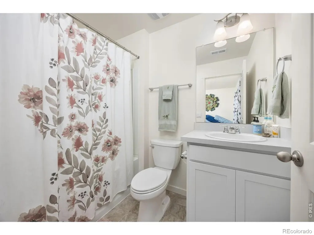 3725 Catmint Street Wellington CO 80549