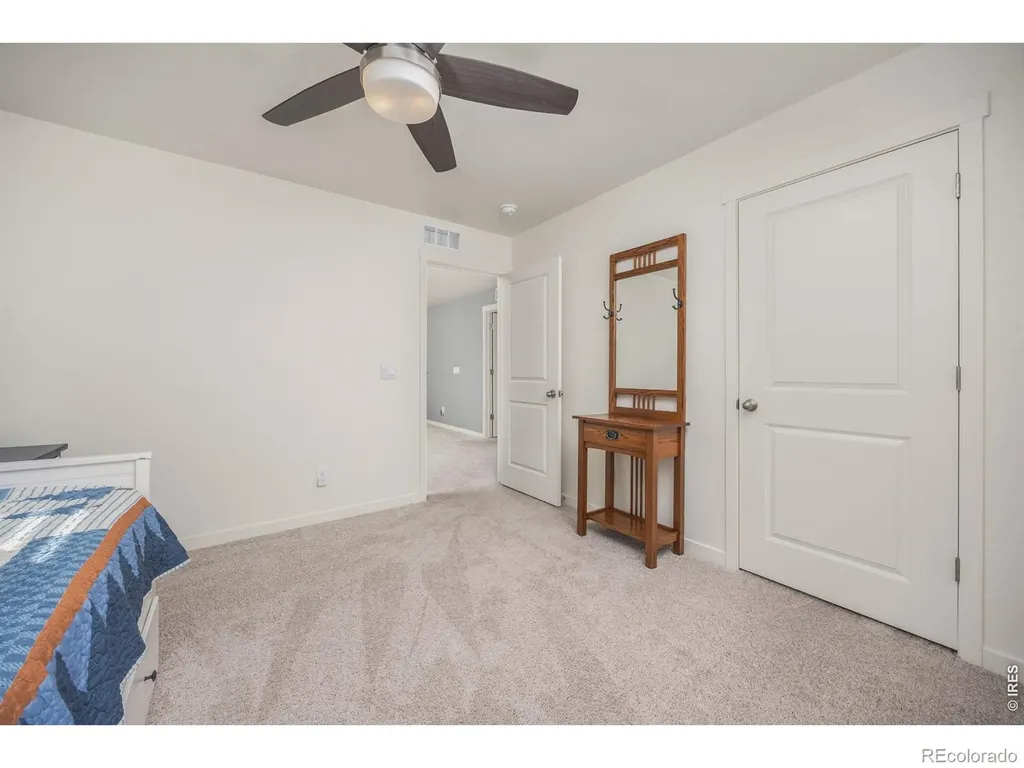 3725 Catmint Street Wellington CO 80549