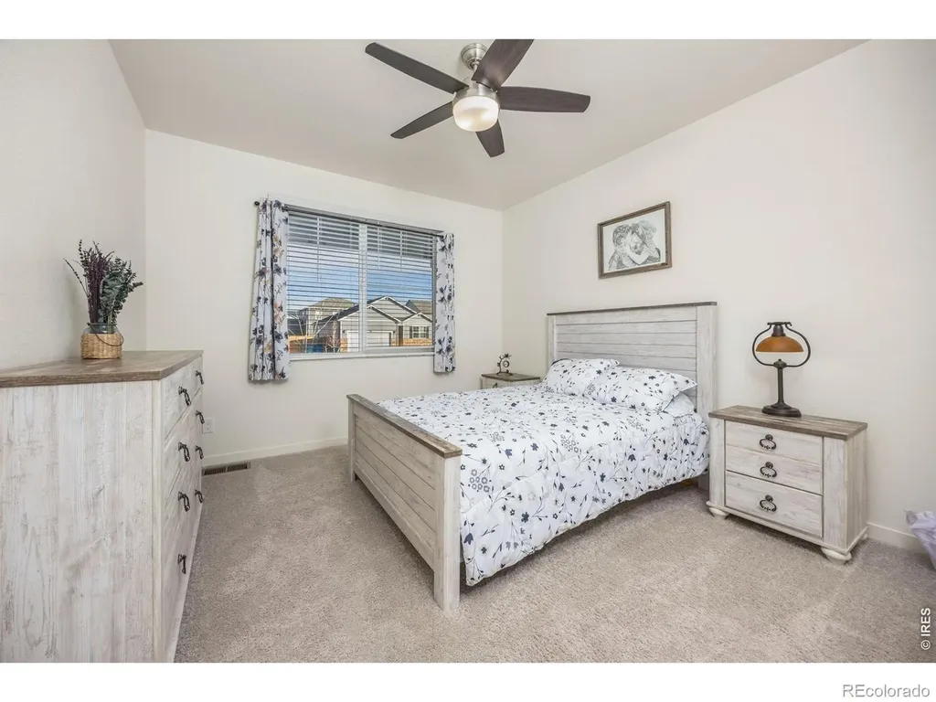 3725 Catmint Street Wellington CO 80549