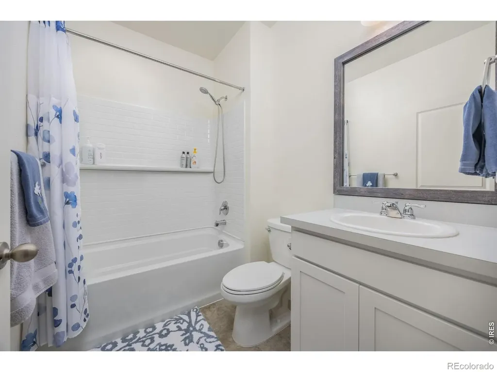 3725 Catmint Street Wellington CO 80549