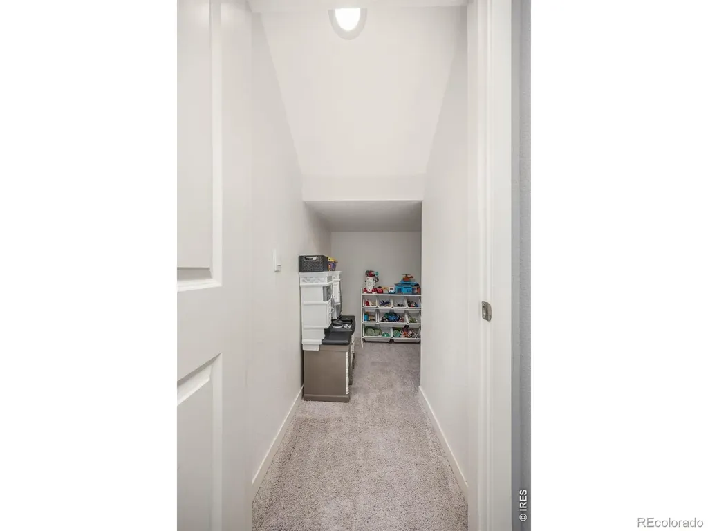 3725 Catmint Street Wellington CO 80549