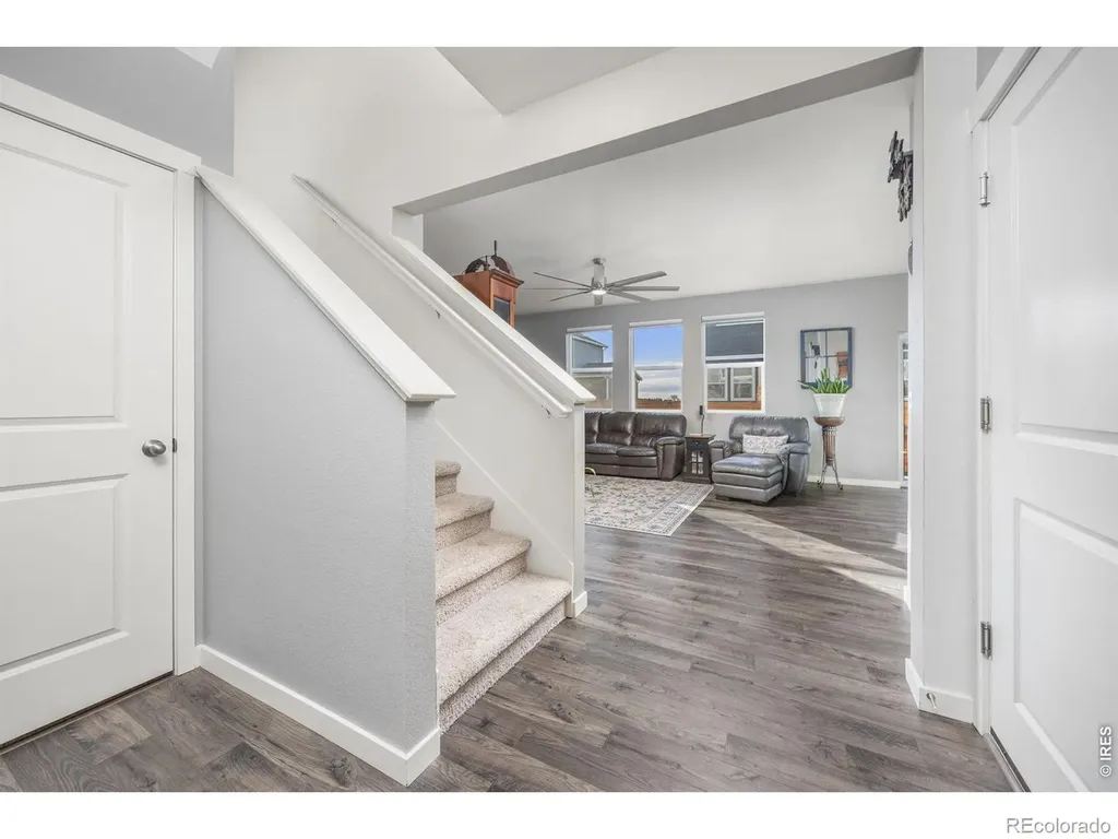 3725 Catmint Street Wellington CO 80549