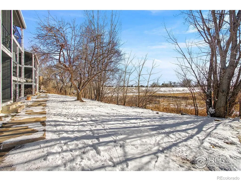 1684 Riverside Avenue Fort Collins CO 80525