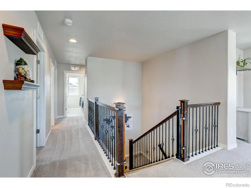 2137 Honeybee Drive Windsor CO 80550