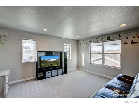 2137 Honeybee Drive Windsor CO 80550