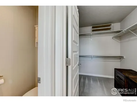 2137 Honeybee Drive Windsor CO 80550