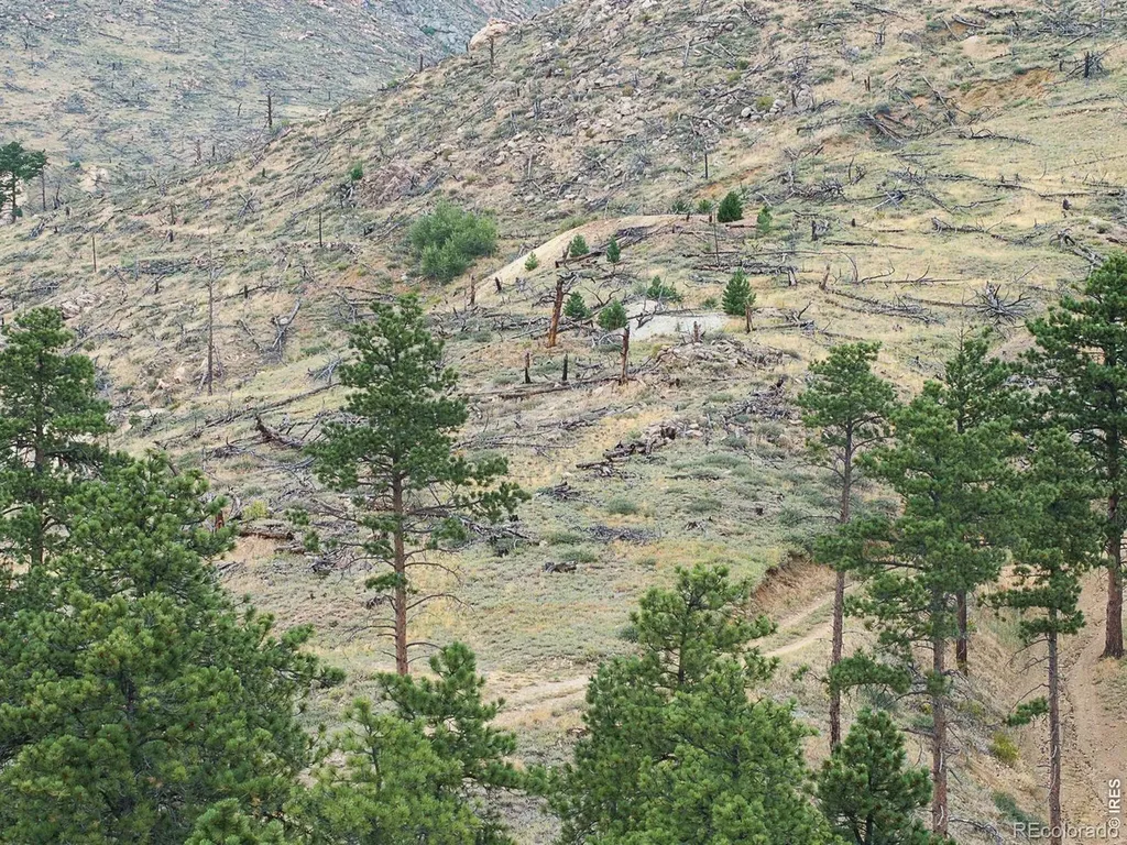 6319 Sunshine Canyon Drive Boulder CO 80302