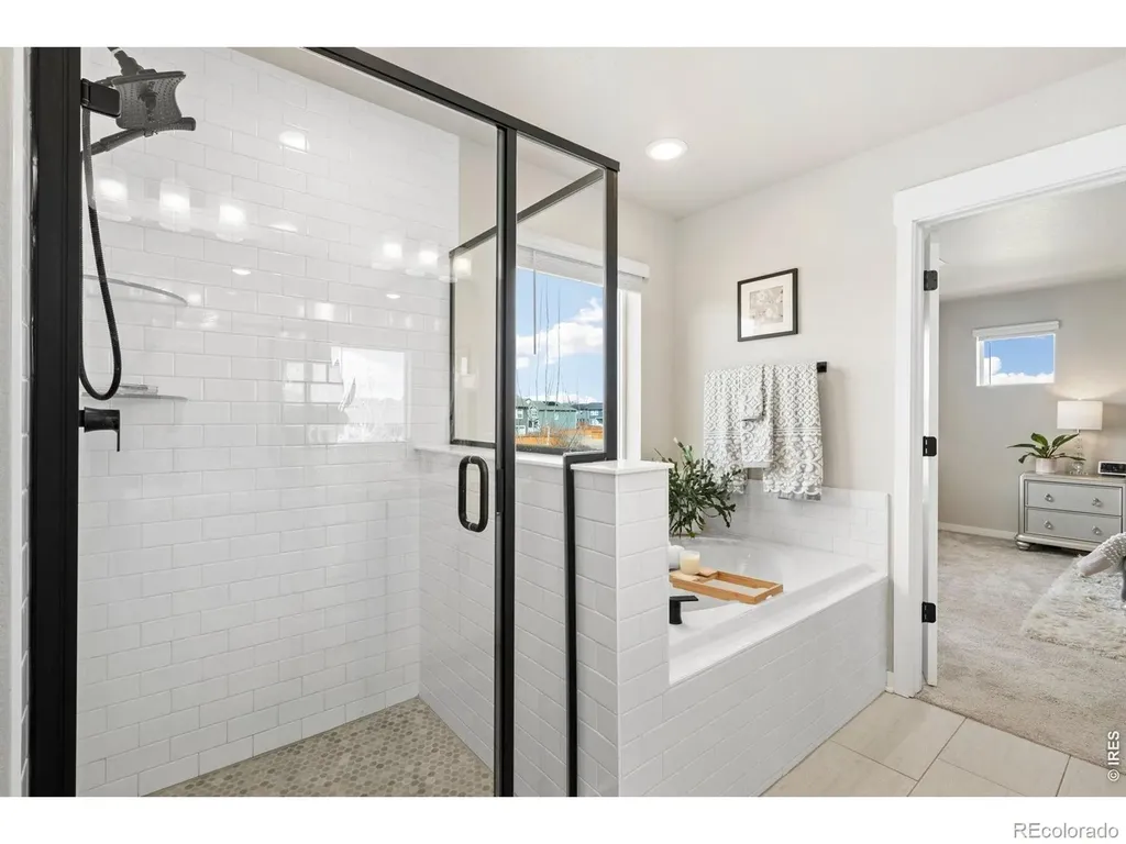 4433 Haymill Court Timnath CO 80547