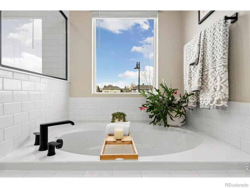 4433 Haymill Court Timnath CO 80547