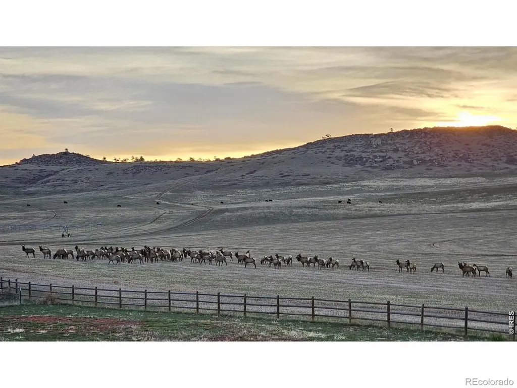 7864 Heart J Trail Loveland CO 80537