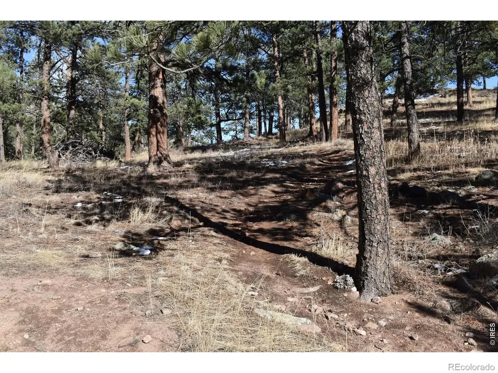 1477 Kiowa Road Lyons CO 80540