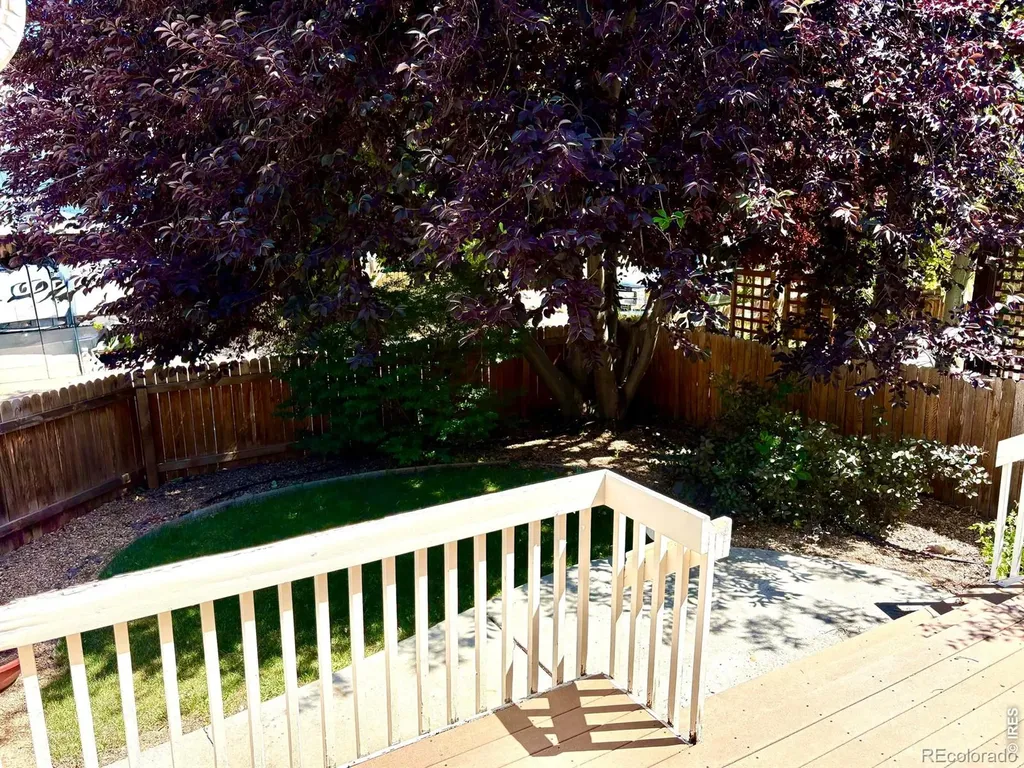 527 Deerwood Drive Longmont CO 80504