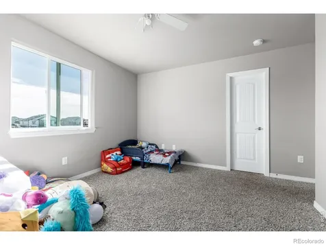 4689 Waltham Drive Windsor CO 80550