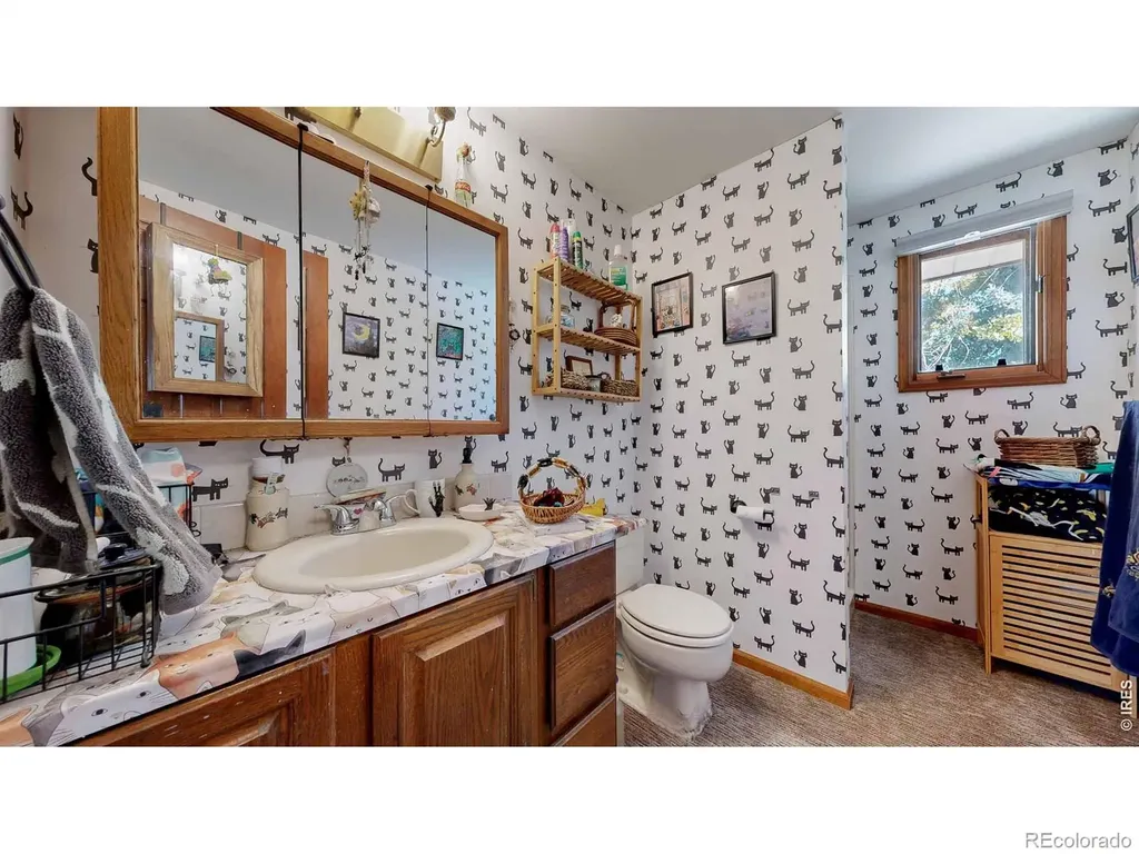 1534 W 28th Street Loveland CO 80538