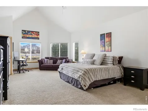 8295 Avalon Court Windsor CO 80528