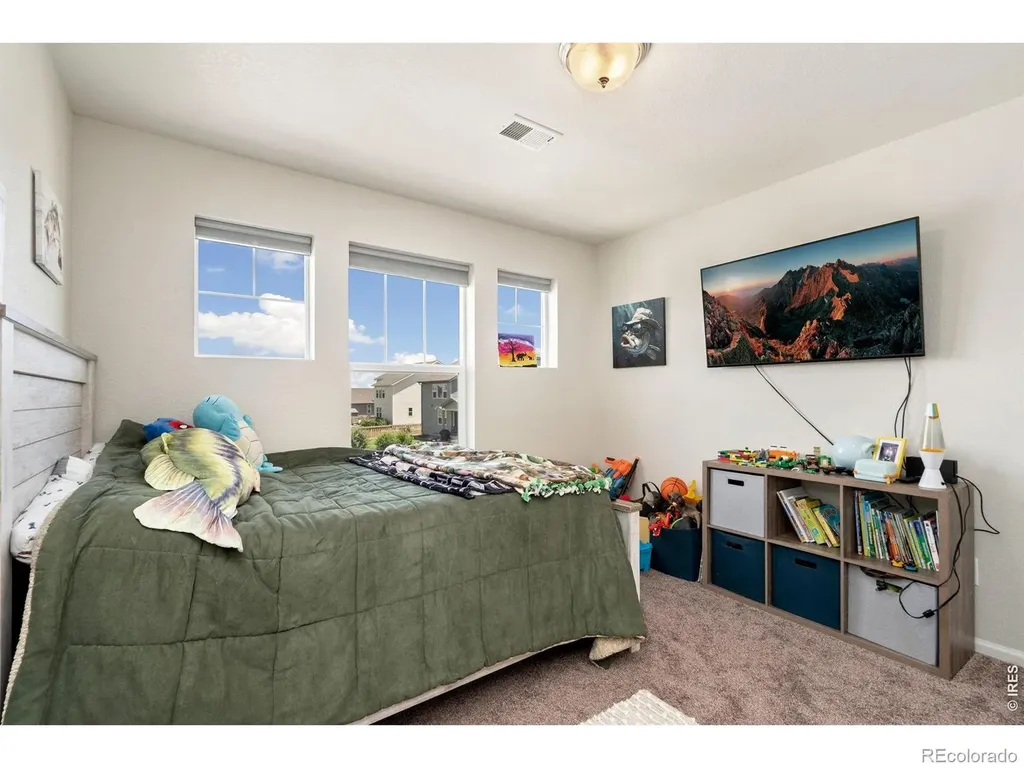 5259 Odessa Lake Street Timnath CO 80547