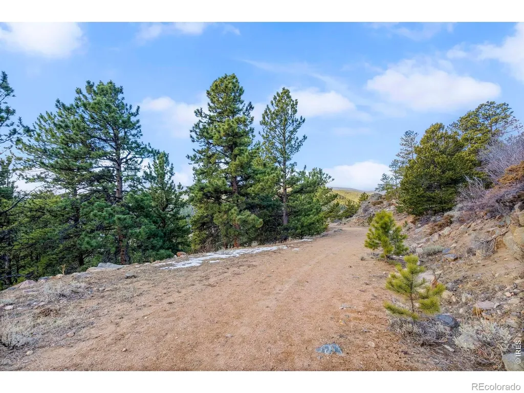 215 Murdock Drive Red Feather Lakes CO 80545