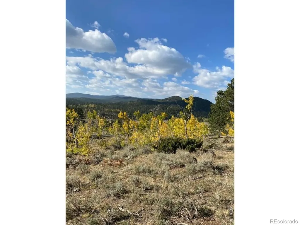215 Murdock Drive Red Feather Lakes CO 80545
