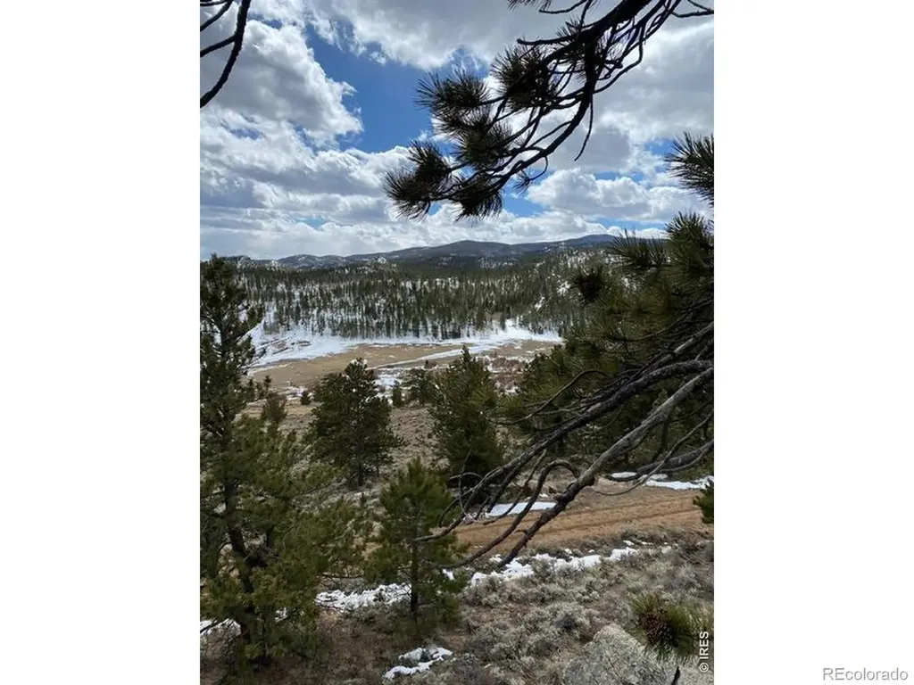 215 Murdock Drive Red Feather Lakes CO 80545
