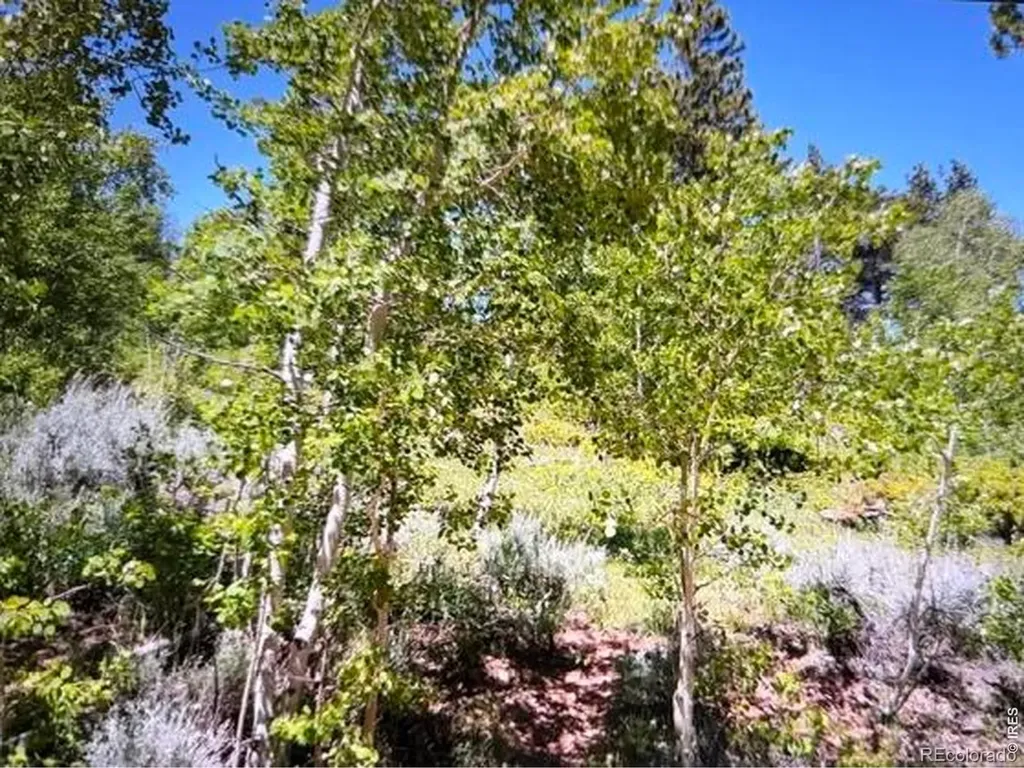 215 Murdock Drive Red Feather Lakes CO 80545
