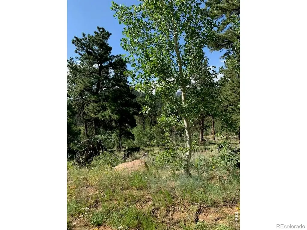 215 Murdock Drive Red Feather Lakes CO 80545