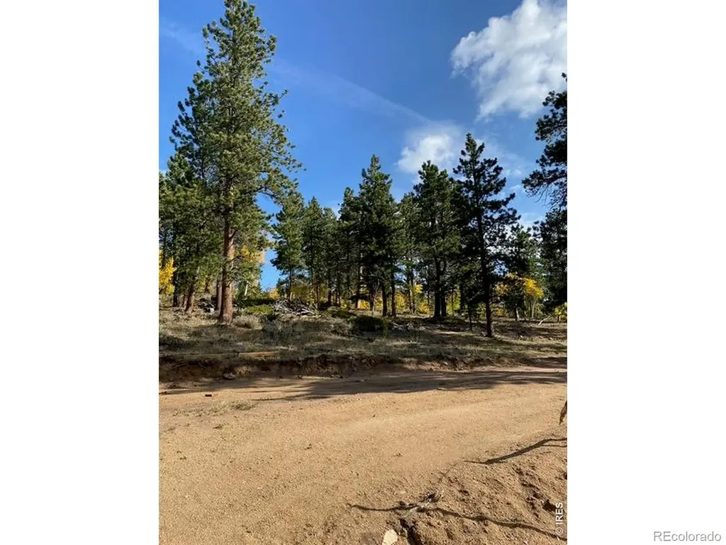 215 Murdock Drive Red Feather Lakes CO 80545