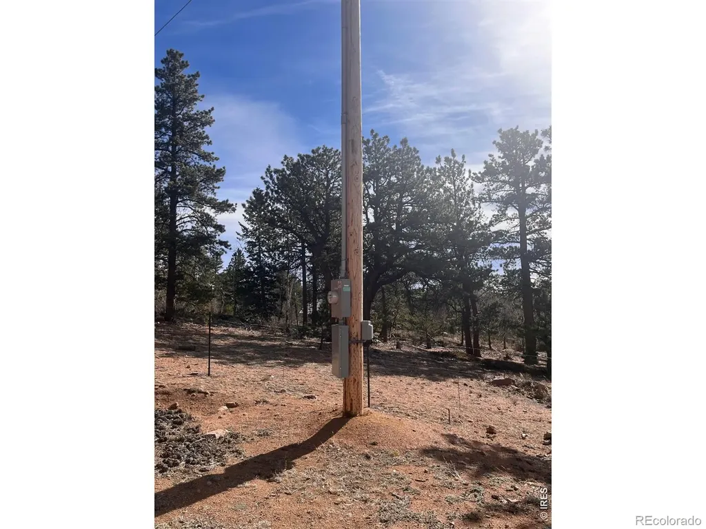 215 Murdock Drive Red Feather Lakes CO 80545