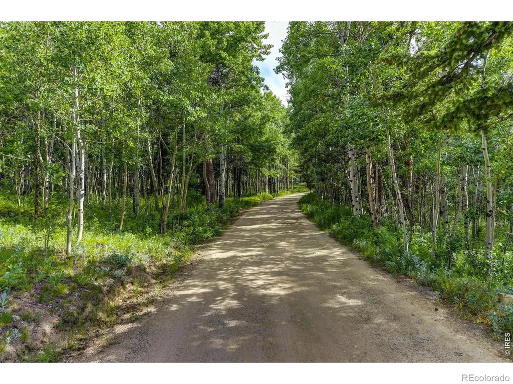 3153 Ridge Road Nederland CO 80466