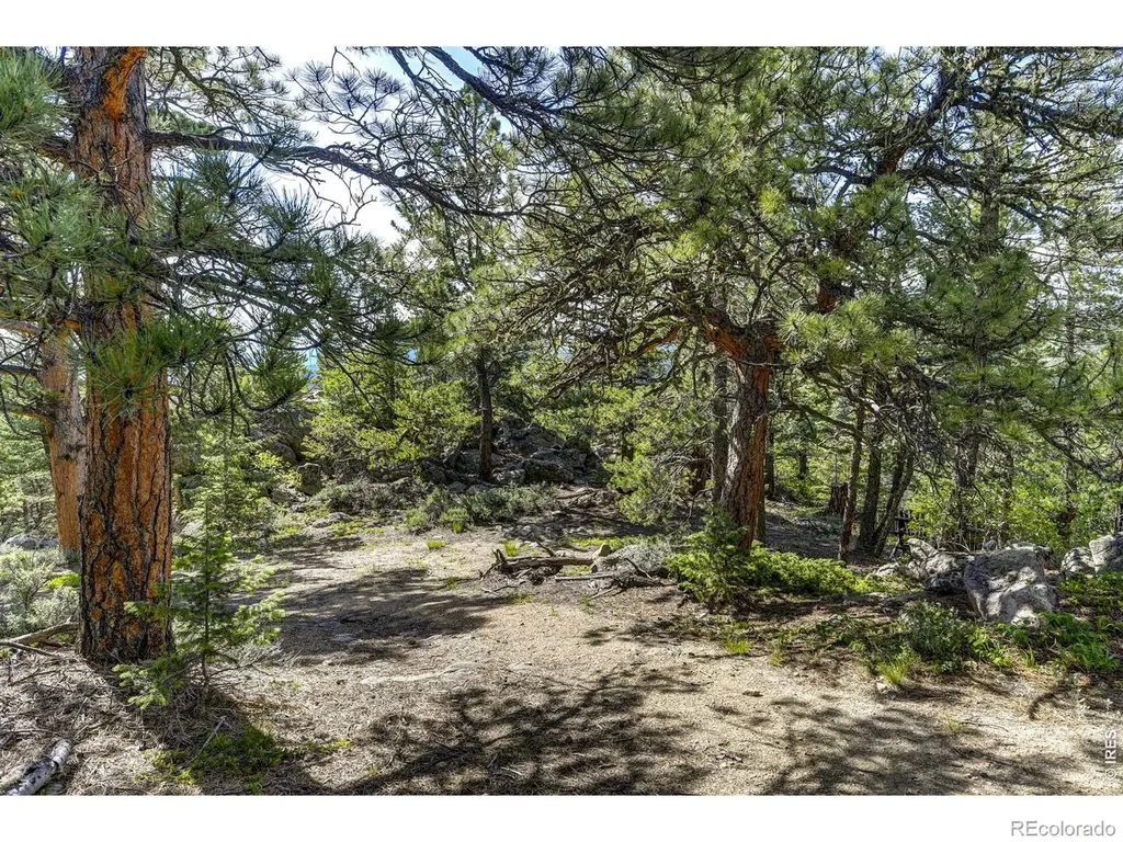 3153 Ridge Road Nederland CO 80466