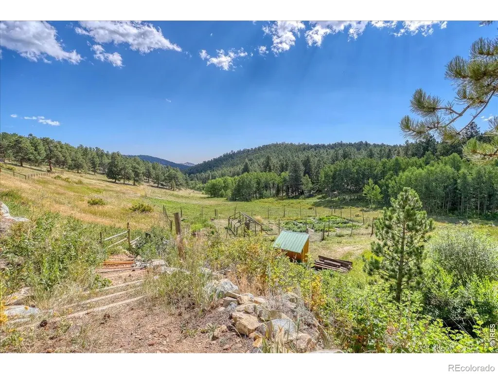 143 Crockett Trail Ward CO 80481