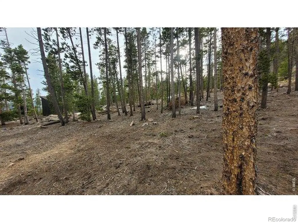 1421 Jicarilla Trail Red Feather Lakes CO 80545