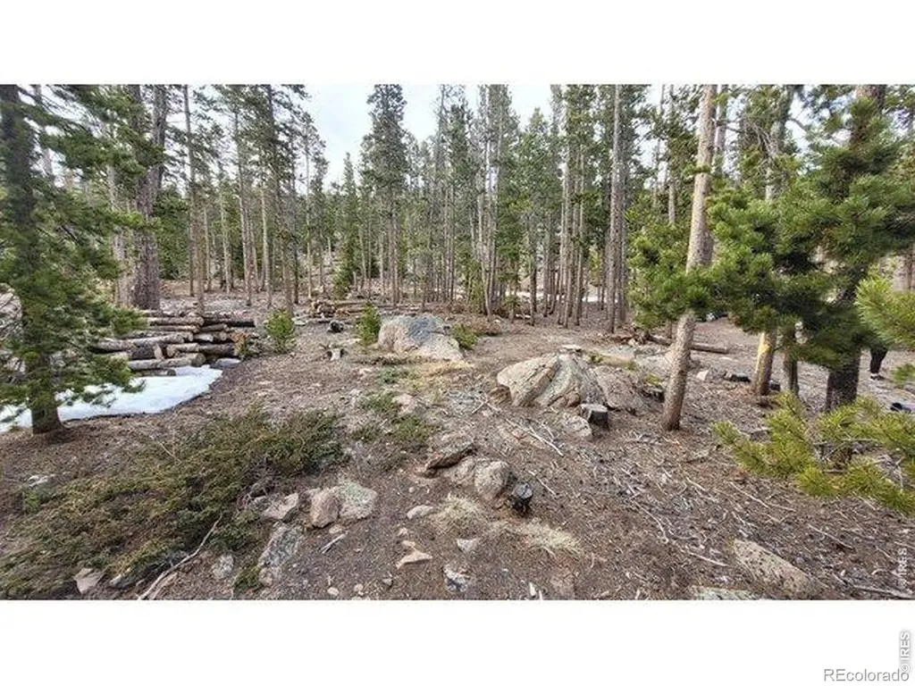 1421 Jicarilla Trail Red Feather Lakes CO 80545