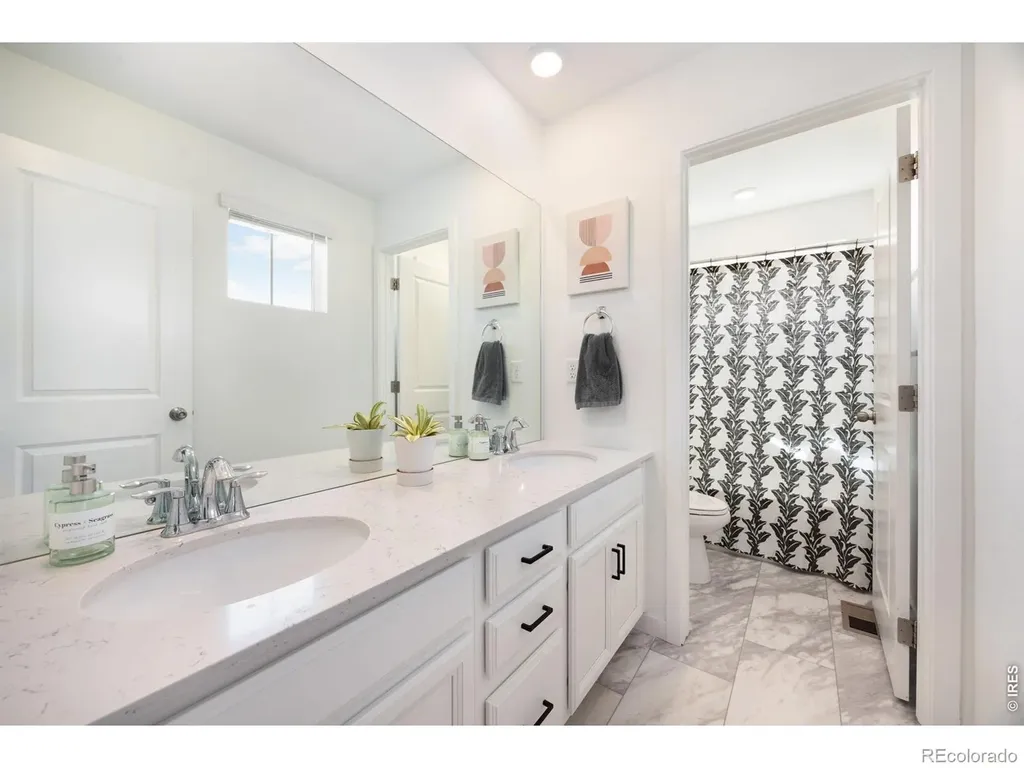 2468 Cabin Creek Avenue Loveland CO 80538