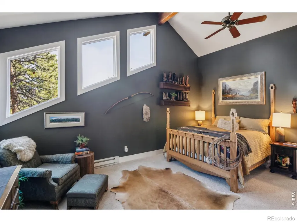 146 Ponderosa Court Red Feather Lakes CO 80545