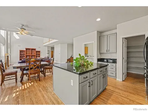 10617 Clarke Farms Drive Parker CO 80134