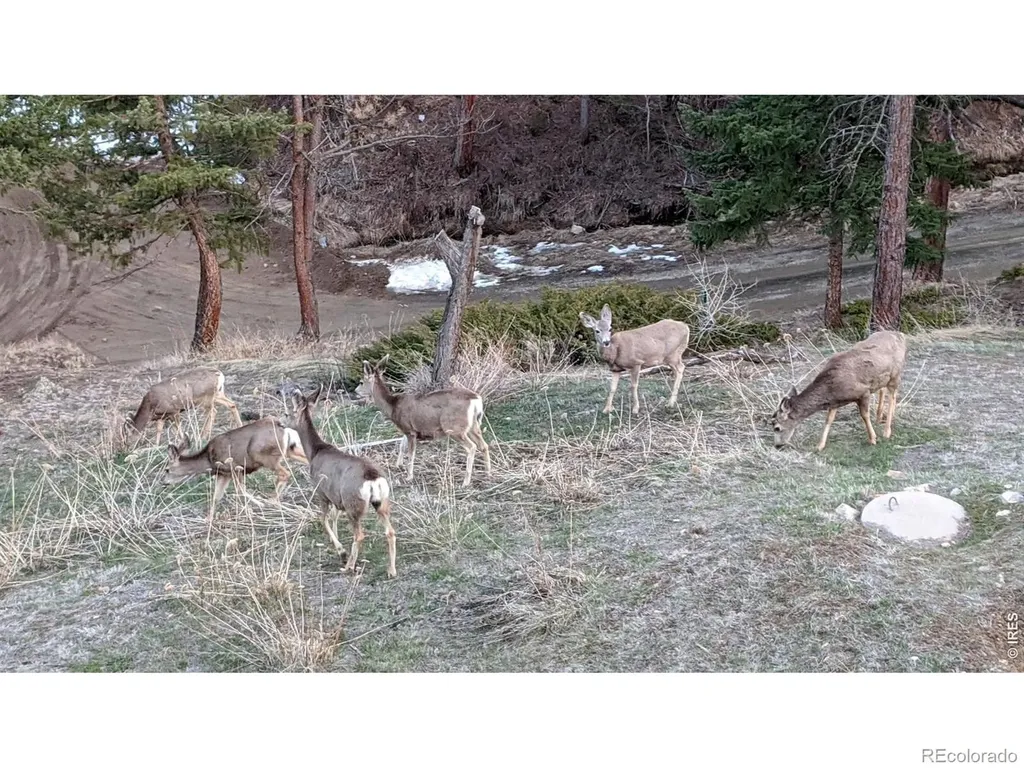 310 Wendelyn Way Boulder CO 80302