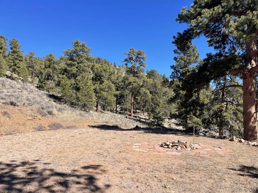 1018 Beartrap Road Red Feather Lakes CO 80545