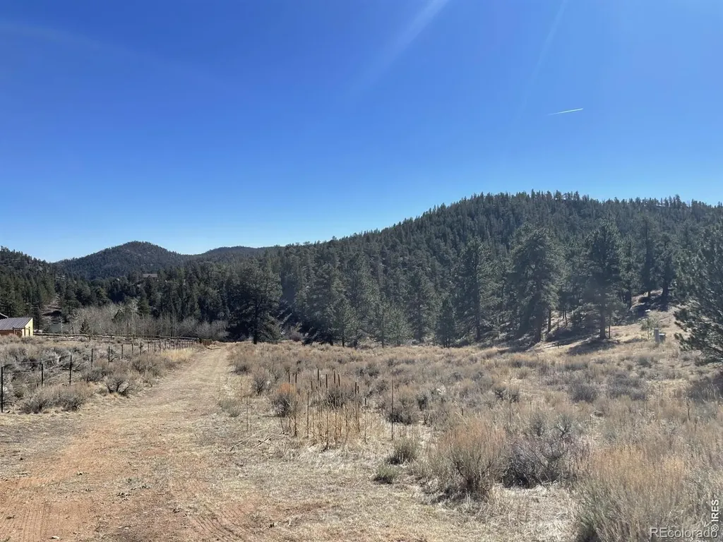 1018 Beartrap Road Red Feather Lakes CO 80545