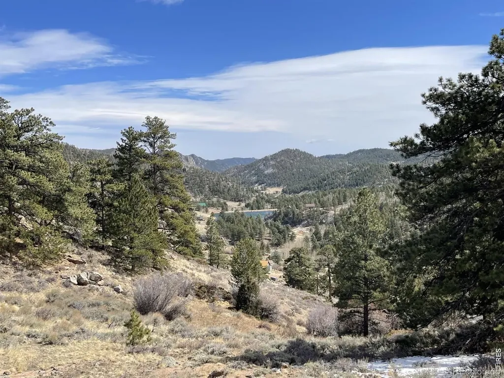 1018 Beartrap Road Red Feather Lakes CO 80545